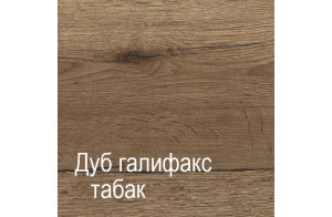 Шкаф-пенал для одежды ПХ-1 (ДГТ) Ханна