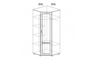 Угловой шкаф для одежды Белла 243